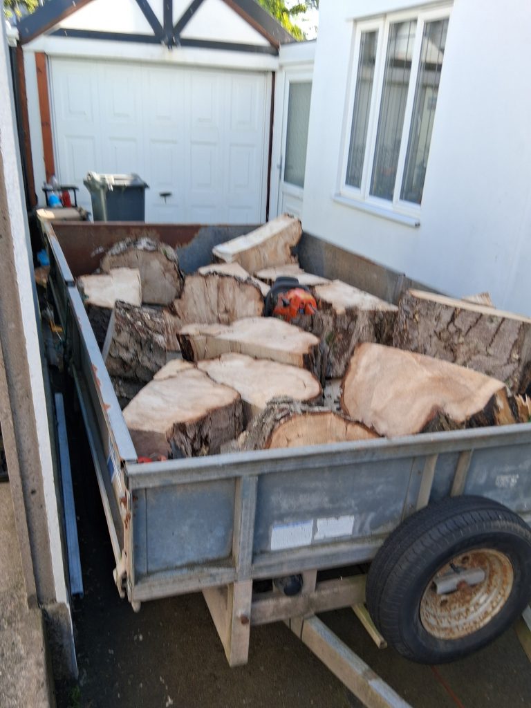 large billets of wood in a trailer